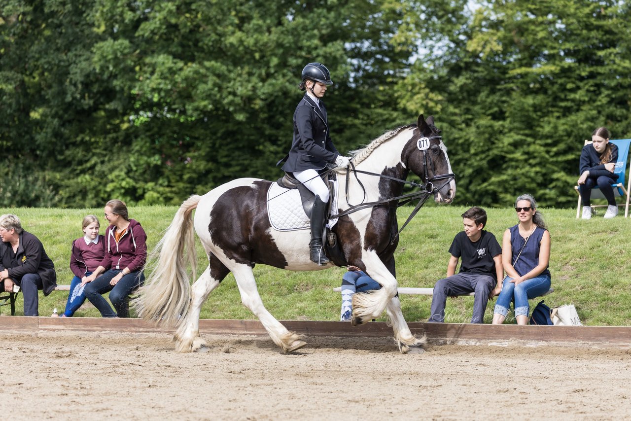 Bild 128 - Pony Akademie Turnier